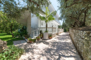 Ruassi Studios - Dodekanes Karpathos